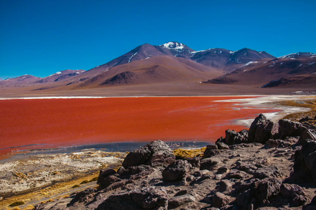 Laguna Colorada
